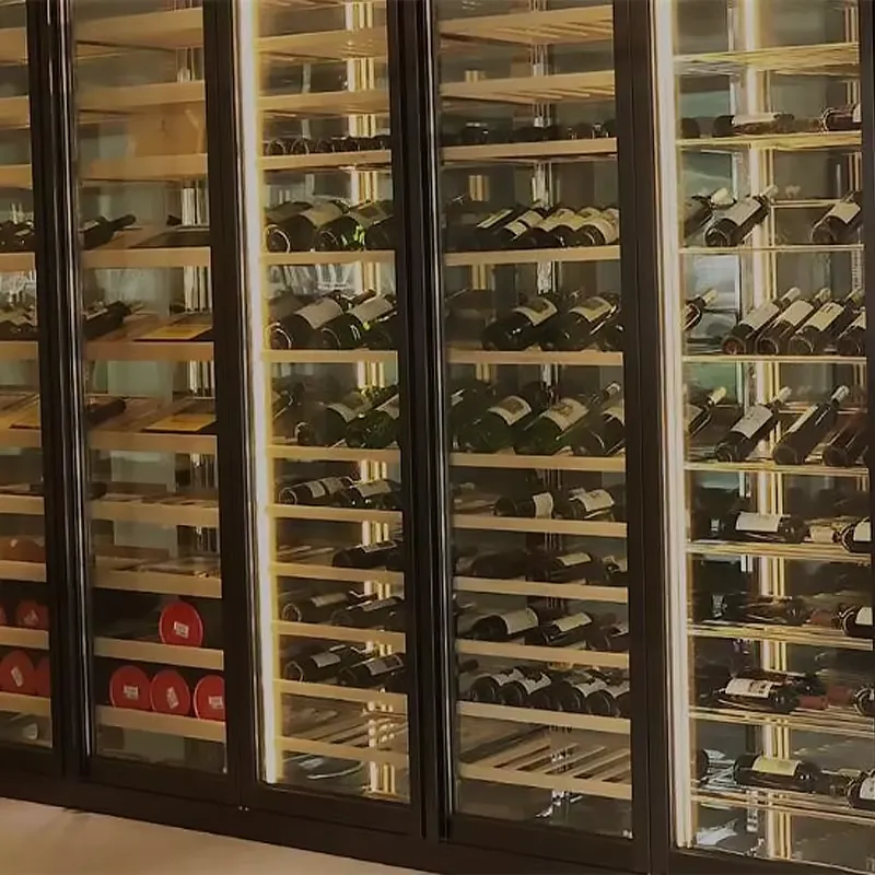 Frigorifero per Vini Elettrico - Wine Beer Fridge Cabinet recensione e prezzo
